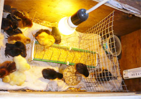 26gennaio2012.jpg 26gennaio2012.jpg