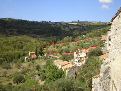 nuova area x galline.jpg (75.23 KiB) Osservato 3199 volte nuova area x galline.jpg