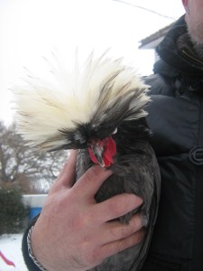 IMG_1879.jpg IMG_1879.jpg