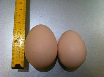 423821_2975216992919_1636662847_2492782_490751186_n.jpg (75.25 KiB) Osservato 802 volte 423821_2975216992919_1636662847_2492782_490751186_n.jpg