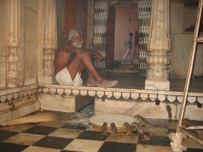 kmt1.jpg (176.57 KiB) Osservato 847 volte kmt1.jpg