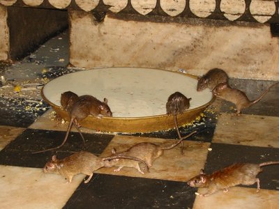 kmt2.jpg (135.27 KiB) Osservato 847 volte kmt2.jpg