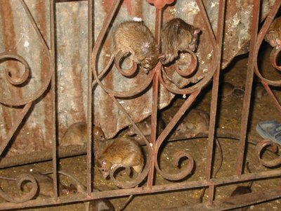 kmt4.jpg (159.41 KiB) Osservato 847 volte kmt4.jpg