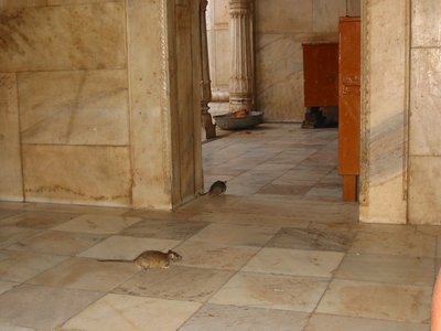 kmt8.jpg (98.89 KiB) Osservato 778 volte kmt8.jpg