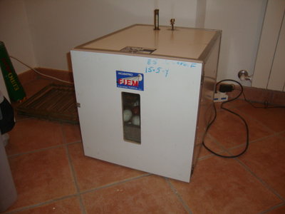 il rudere / DSC02167.JPG DSC02167.JPG