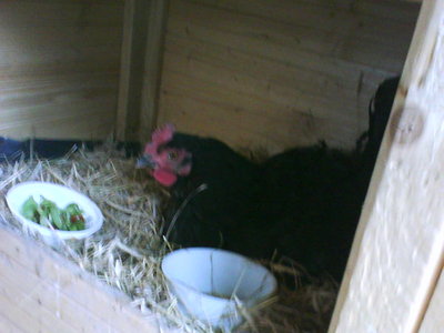 DSC00530.JPG (43.13 KiB) Osservato 1711 volte DSC00530.JPG