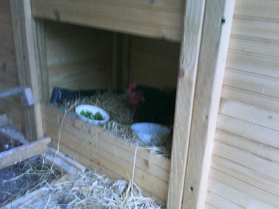 DSC00531.JPG (49.08 KiB) Osservato 1711 volte DSC00531.JPG