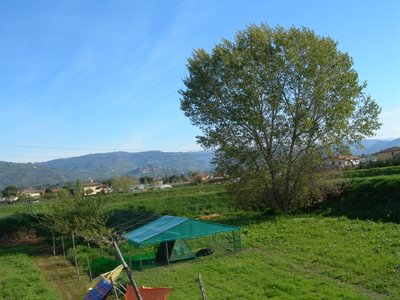 DSCN1574.JPG (364.4 KiB) Osservato 753 volte DSCN1574.JPG