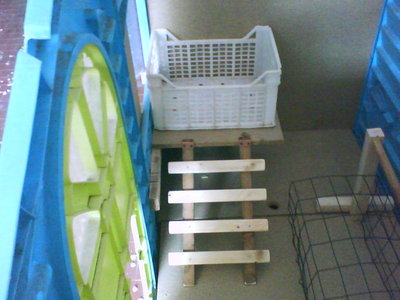 DSC00544.JPG (56.71 KiB) Osservato 1421 volte DSC00544.JPG