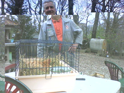 QUESTO E' MAURO....IL NOSTRO CARO AMICO..... / DSC00555.JPG DSC00555.JPG