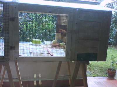 DSC00566.JPG (61.08 KiB) Osservato 1503 volte DSC00566.JPG