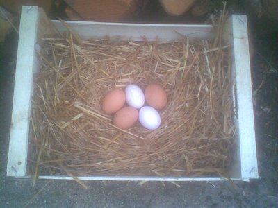 Immag004.jpg (152.06 KiB) Osservato 763 volte Immag004.jpg