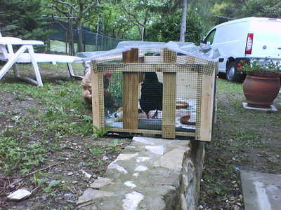 DSC00619.JPG (101.95 KiB) Osservato 1634 volte DSC00619.JPG