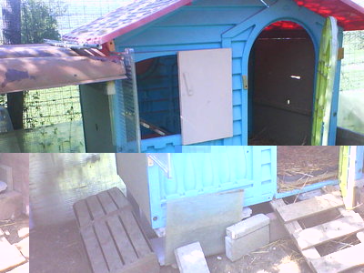 DSC00625.JPG (64.84 KiB) Osservato 1680 volte DSC00625.JPG