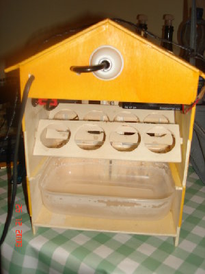 Retro aperto con girauova intercambiabile / DSC04082.JPG DSC04082.JPG