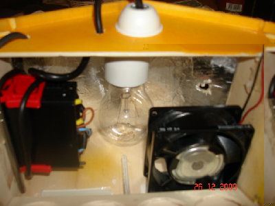 vista interna termostato,lampadina,ventolina e stagnola per finezza. / DSC04083.JPG DSC04083.JPG