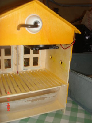 trasformazione in camera di schiusa / DSC04084.JPG DSC04084.JPG