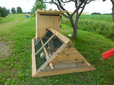 pollaio mobile.JPG (107.18 KiB) Osservato 1134 volte pollaio mobile.JPG