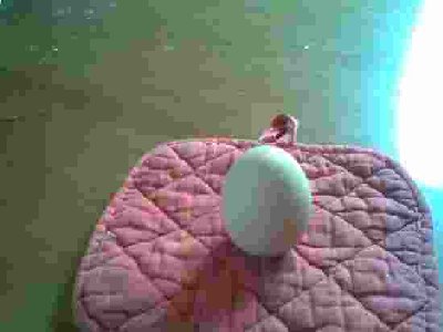 Immag004.jpg (6.6 KiB) Osservato 1008 volte Immag004.jpg