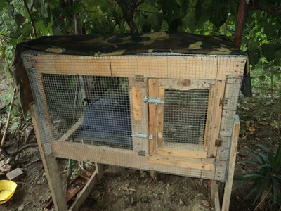 DSC01304.jpg (231.23 KiB) Osservato 986 volte DSC01304.jpg