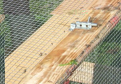 cern.jpg (97.87 KiB) Osservato 972 volte cern.jpg