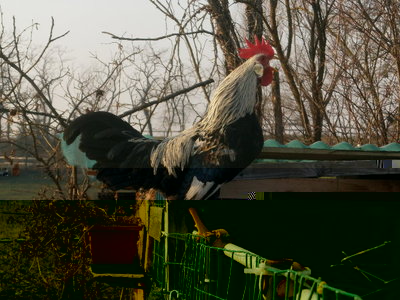 PC290339.JPG (133.19 KiB) Osservato 4903 volte PC290339.JPG