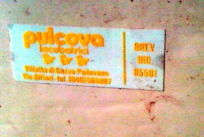 targhetta / Fotografie-0087.jpg Fotografie-0087.jpg