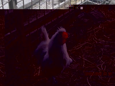 IMG_1186.JPG (105.17 KiB) Osservato 509 volte IMG_1186.JPG