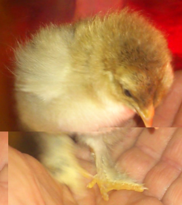 1367270562302.jpg 1367270562302.jpg