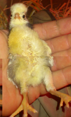 1367270563594.jpg 1367270563594.jpg