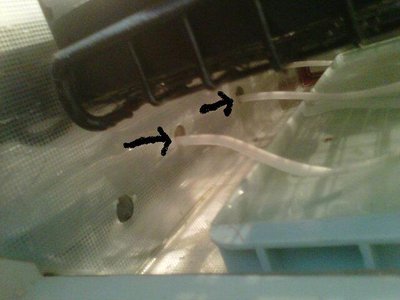 foto n 1.jpg (34.33 KiB) Osservato 1753 volte foto n 1.jpg