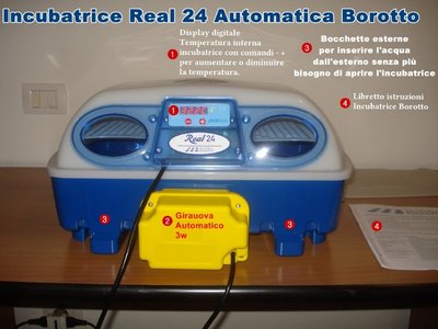 Real 24 Automatica Borotto.JPG (96.54 KiB) Osservato 1596 volte Real 24 Automatica Borotto.JPG