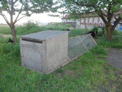 pollaio mobile 037.jpg (106.55 KiB) Osservato 852 volte pollaio mobile 037.jpg