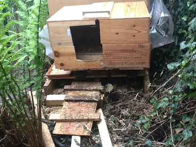 photo 3.JPG (94.4 KiB) Osservato 4158 volte photo 3.JPG