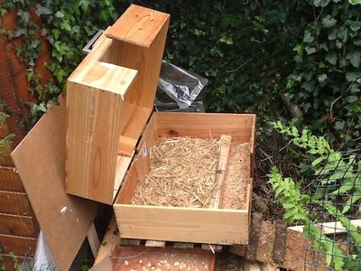 photo 2.JPG (85.77 KiB) Osservato 4158 volte photo 2.JPG