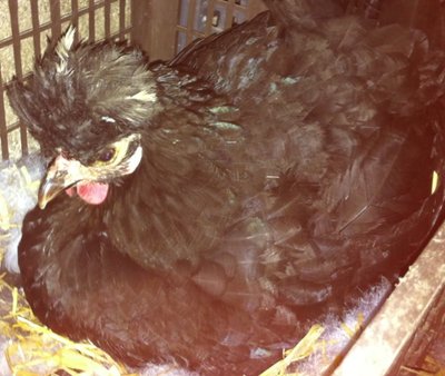 Immagine6.jpg (124.07 KiB) Osservato 1211 volte Immagine6.jpg