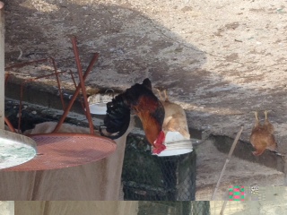 foto 1.JPG foto 1.JPG