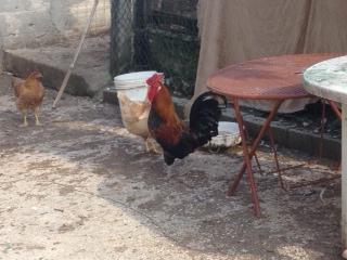 foto 1.JPG foto 1.JPG