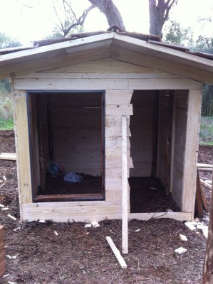 IMG_1469 rid.jpg (201.86 KiB) Osservato 432 volte IMG_1469 rid.jpg