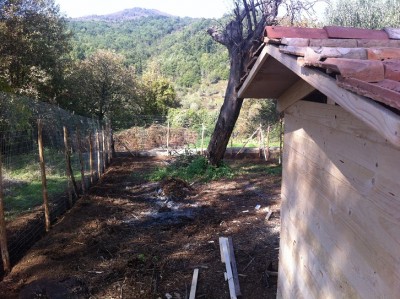 IMG_1474 rid.jpg (239.15 KiB) Osservato 432 volte IMG_1474 rid.jpg