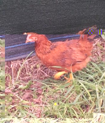 20131206_140551-1.jpg (40.1 KiB) Osservato 517 volte 20131206_140551-1.jpg