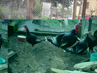 varie 22-12-13 036.jpg (305.98 KiB) Osservato 994 volte varie 22-12-13 036.jpg