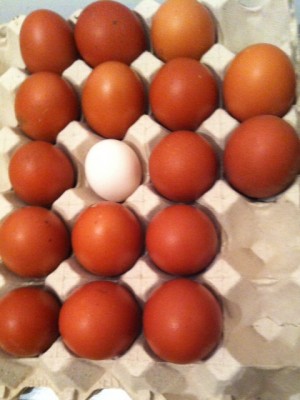 image.jpg (104.55 KiB) Osservato 734 volte image.jpg