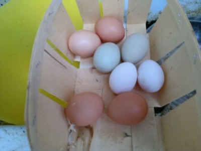 008.jpg (26.76 KiB) Osservato 715 volte 008.jpg