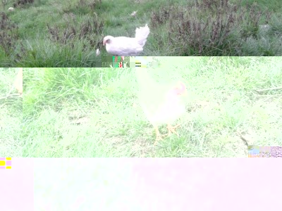 2014-01-30 16.08.58.jpg (253.57 KiB) Osservato 543 volte 2014-01-30 16.08.58.jpg