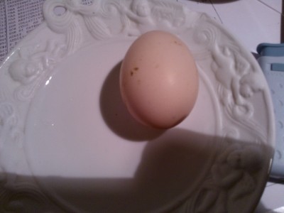 WP_000450 rid.jpg (85.5 KiB) Osservato 328 volte WP_000450 rid.jpg