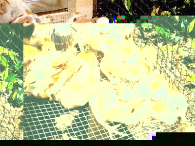 foto.JPG (129.5 KiB) Osservato 426 volte foto.JPG