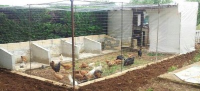 20140525_143537-1-1.jpg (41.59 KiB) Osservato 977 volte 20140525_143537-1-1.jpg