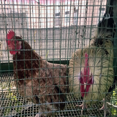 WP_20140329_002.jpg WP_20140329_002.jpg