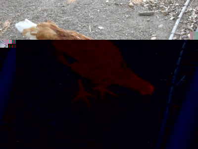 20140717_190757.jpg (225.51 KiB) Osservato 512 volte 20140717_190757.jpg